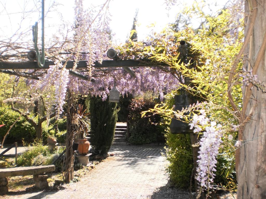 Casa Do Redondo Bed & Breakfast Rabaçal Eksteriør bilde